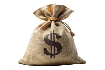 bag with money isolated