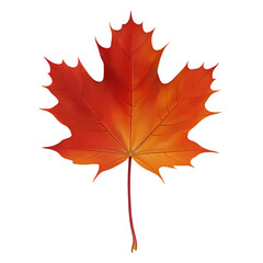 Obraz premium A vibrant red-orange maple leaf with detailed veins and a long stem, symbolizing autumn beauty.