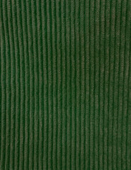 Corduroy fabric photographed close-up, prominent texture, suitable for clothing, bags, green backgrounds