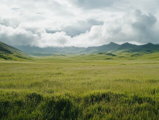 Fototapeta premium Mountain landscape with green field