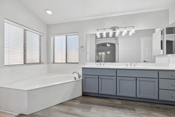 Luxurious bathroom with large bathtub and vanity.