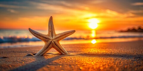 Fototapeta na wymiar Minimalist Beach Photography: Heart Starfish Sandy Shore - Seashell Summer Ocean