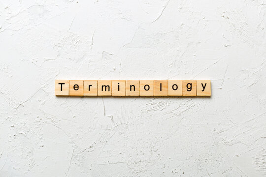 terminology word written on wood block. terminology text on table, concept