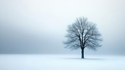 Fototapeta premium Mysterious fog concept. A lone tree stands majestically in a serene, winter landscape covered in pure snow.