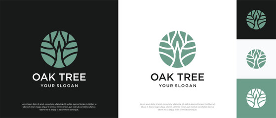 Tree growth logo design. Nature tree logo template made with lines and circles.