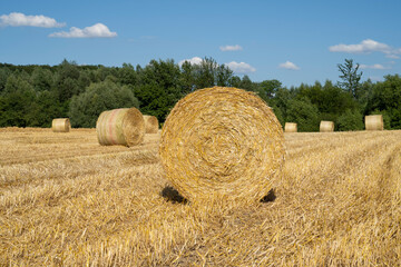 Strohballen auf abgeerntetem Kornfeld, Stoppelfeld, Kamen. Nordrhein-Westfalen, Deutschland, Europa