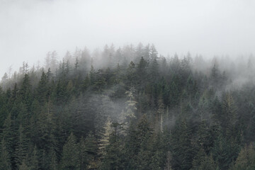 Fog on mountains moody landscape in British Columbia, Canada