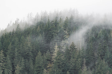 Fog on mountains moody landscape in British Columbia, Canada