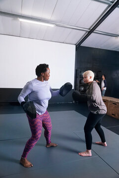 People boxing in gym