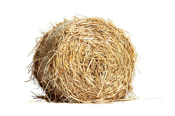 A cylindrical or round hay bale, isolated against a transparent background, highlighting its compact, rolled shape