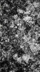 Fototapeta premium Intricate Abstract Stone Texture Design for Architecture