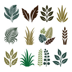 Tropical leaves collection. Vector isolated elements on the white background.