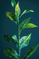 Close-up of green leaf