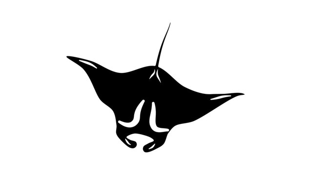 oceanic manta ray , black isolated silhouette