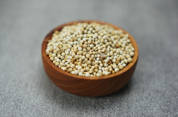 Coriander seeds or Biji Ketumbar in Indonesian, known by the scientific name Coriandrum sativum in a brown wooden patterned bowl isolated on a gray background