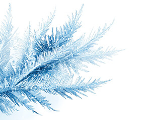 Fototapeta premium Frozen Winter Branches