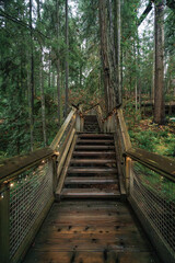 Capilano Suspension Bridge Park in North Vancouver, British Columbia, Canada, on a moody, rainy autumn day in november
