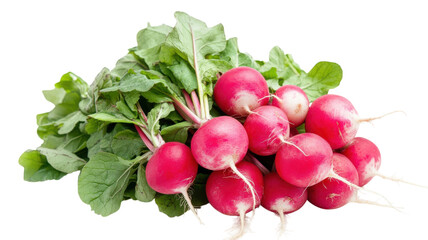 Fresh Radishes with Green Leaves: Perfect for Salads, Garnishes, and Healthy Recipes.