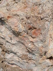 Close up of coral rocks found in karst plateau, marine animal fossils, karst, limestone, underground rivers, and all forms of beautiful karst rock landscapes.