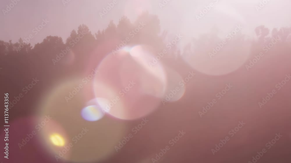 Aufkleber Beautiful sunlight filters through a forest creating a magical and serene atmosphere at dawn