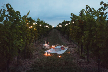 Food and light arranged in vineyard for a picnic at night