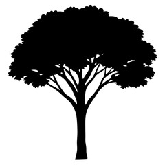 Acacia tree black & white vector art, Tree modern style silhouette illustration, Modern acacia tree vector design