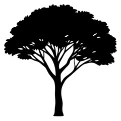 Acacia tree black & white vector art, Tree modern style silhouette illustration, Modern acacia tree vector design