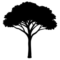 Acacia tree black & white vector art, Tree modern style silhouette illustration, Modern acacia tree vector design