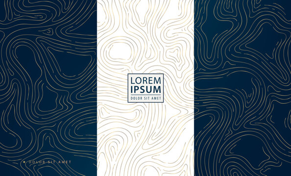 Vector set of abstract gold line wood texture, topography contour, organic nature texture covers, labels, invitations, posters. Wave art   