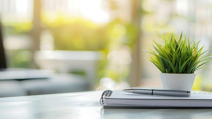 Healthy green plant on white table with small notebook and pen, symbolizing health advice and wellness tips, clean and focused image with copy space for text.