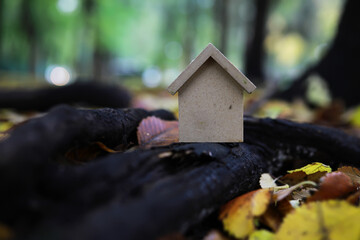 Miniature House in Autumn Forest - Nature, Leaves, Outdoors, Small Home, Seasonal Decor