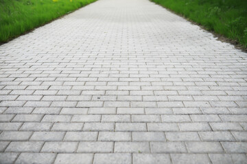 Straight Cobblestone Pathway in Lush Green Park on a Sunny Day