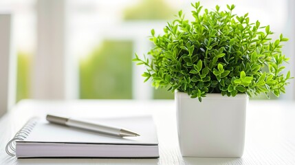 Healthy green plant on white table with small notebook and pen, symbolizing health advice and wellness tips, clean and focused image with copy space for text.