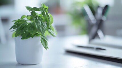Healthy green plant on white table with small notebook and pen, symbolizing health advice and wellness tips, clean and focused image with copy space for text.