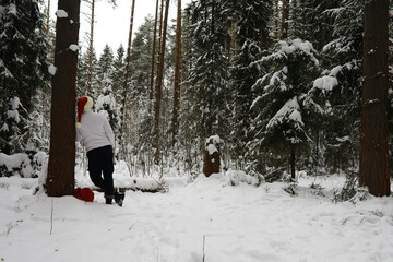 Winter Wonderland: Person Leaning on Tree in Snow-Covered Forest