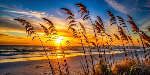 Silhouette Sea Oats Dune Ocean Sunset Photography - Coastal Beach Grass Landscape
