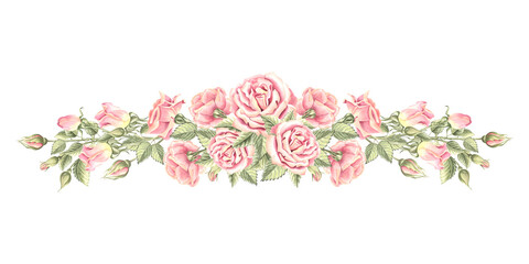 Pink roses with buds and green leaves. Composition of spring flowers. Hand drawn watercolor illustration isolated. Floral template of postcard. Clipart for invitation, wedding, Valentines Day, textile