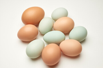 여러가지 계란모음