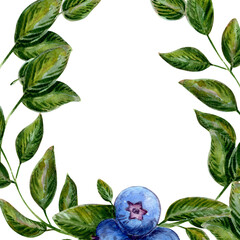Juicy blueberries and green leaves form a botanical frame. A detailed illustration perfect for nature-themed designs. Foliage and berries create a vibrant border. Art perfect for organic themes