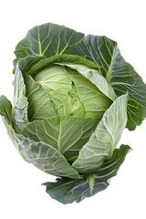 Fototapeta premium Fresh, whole green cabbage vegetable with distinct outer leaves is shown against a pure transparent background for food use.