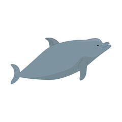 Sea And Ocean Animal Illustration - Dolphin