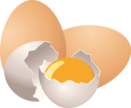 cracked egg with yolk, brown shell clip art preview