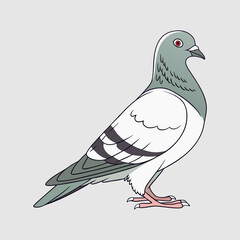 Racing pigeon vector art.