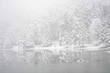 Fototapeta premium human silhouettes among snow-covered trees