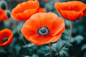 Fototapeta premium Close-up tulips, 3D photo wallpaper with flowers.. Beautiful simple AI generated image