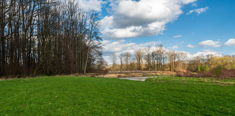 Springtime CHKO Poodri between Polanka and Kosatka nad Odrou in Czech republic
