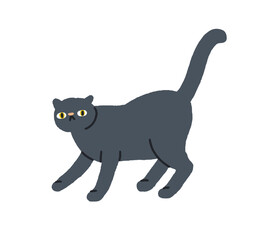 Cute cat looking, staring with funny emotion. Feline animal with tail raised, wide-eyed and shocked, surprised expression. Comic kitty pet. Flat vector illustration isolated on white background