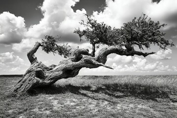 She-bear with cubs in a forest glade. White Nights. Summer. Finland.. Beautiful simple AI generated image