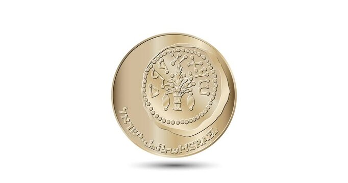 Coin, Israel, 50 sheqalim. Obverse of Israel fifty sheqalim coin.  The coin appear on the screen with a captivating style. Animated vector coin. Money animation.