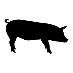 Vector pig silhouette. Pig, pork silhouette icon isolated on white background. Vector illustration